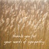 Thank You Sympathy Cards - Thank You for your Words of Sympathy 5820 - Pack of 5